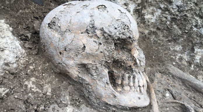 Descubren un nuevo enterramiento en Marroquíes Bajos Jaen24h