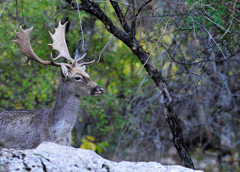 el-Patronato-de-deportes-ha-organizado-una-ruta-de-senderismo-para-el-4-de-marzo-jaen24h