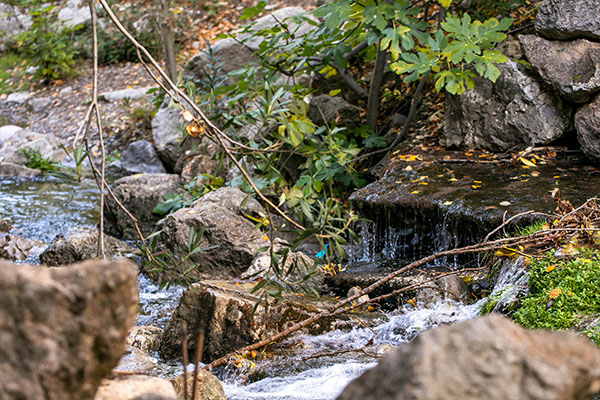 3 rutas de senderismo para disfrutar del Parque Natural de Sierra Mágina