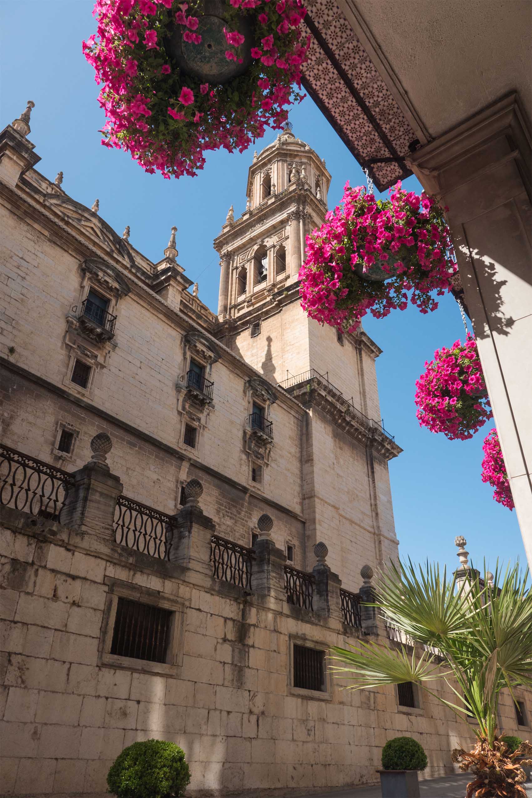 Las catedrales de Jaén y Baeza ya han abierto sus puertas a los turistas Jaén24h