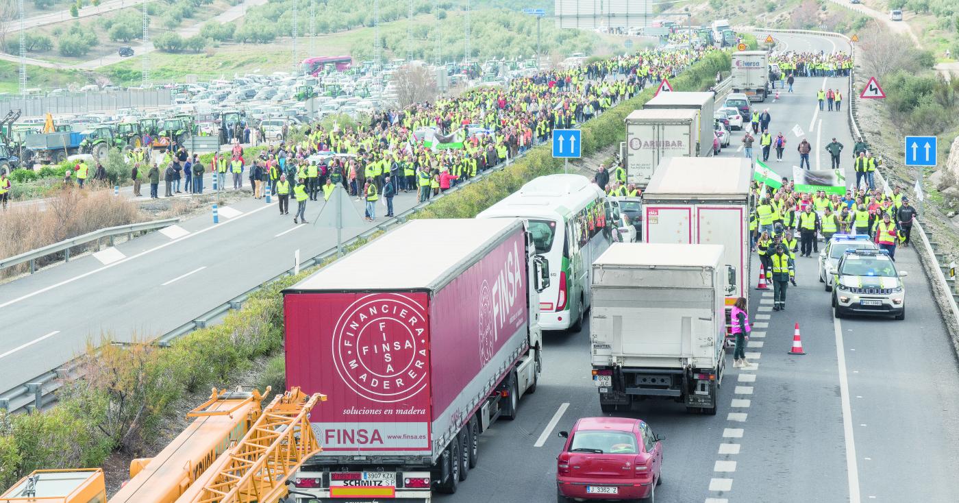 Protestas por el precio del aceite Jaén24h