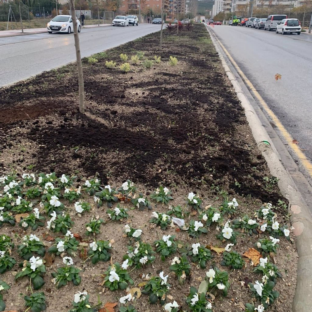 Casi mil árboles plantados en Jaén en un año