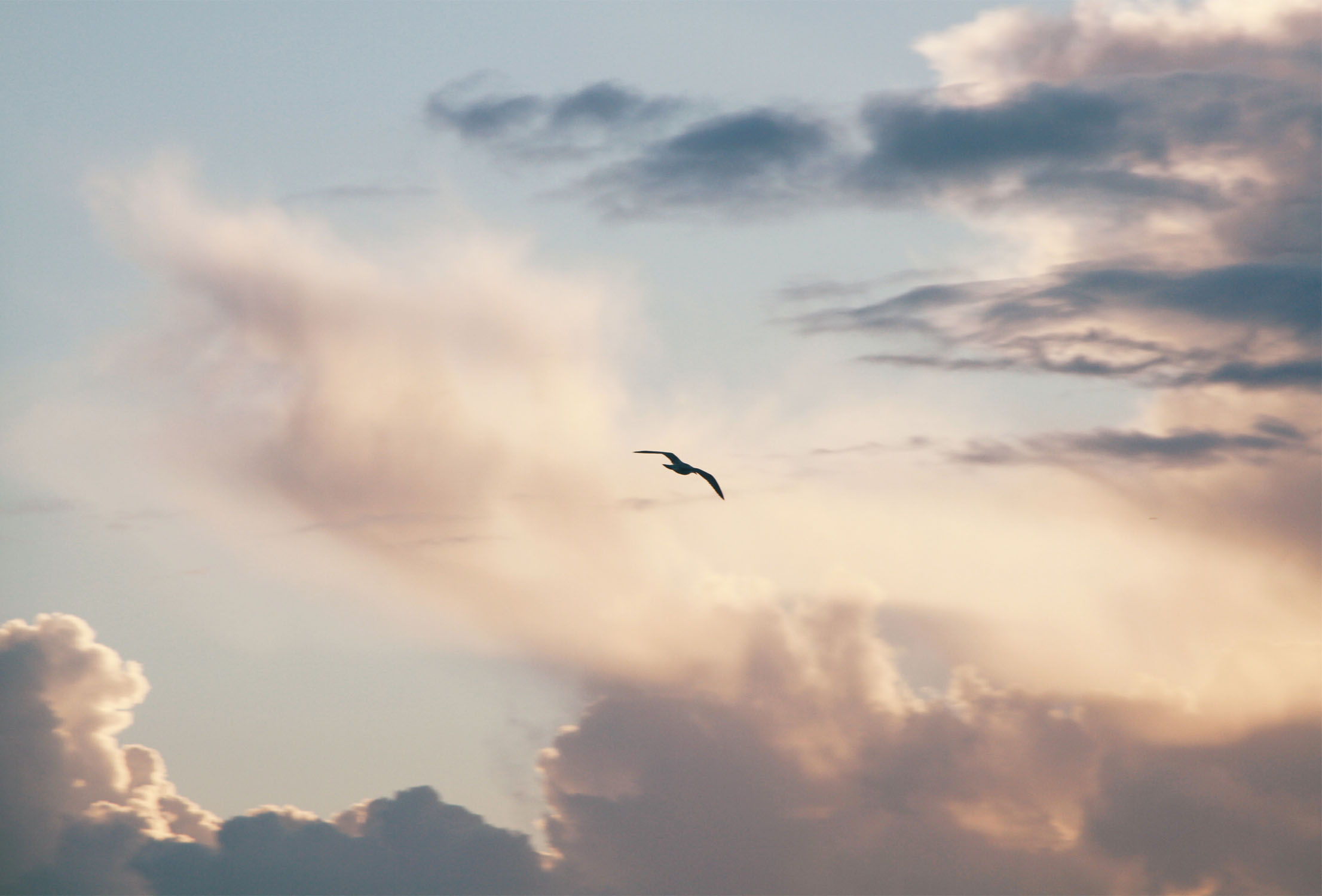  Centro de Cría del Quebrantahuesos de Cazorla Jaén24h