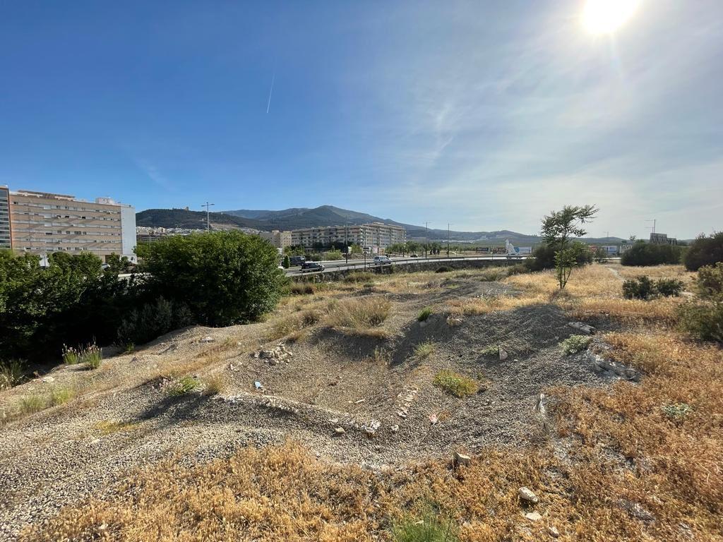 jaen-acogera-el-centro-de-innovacion-turistica-de-los-paisajes-olivareros-de-andalucia-jaen24h