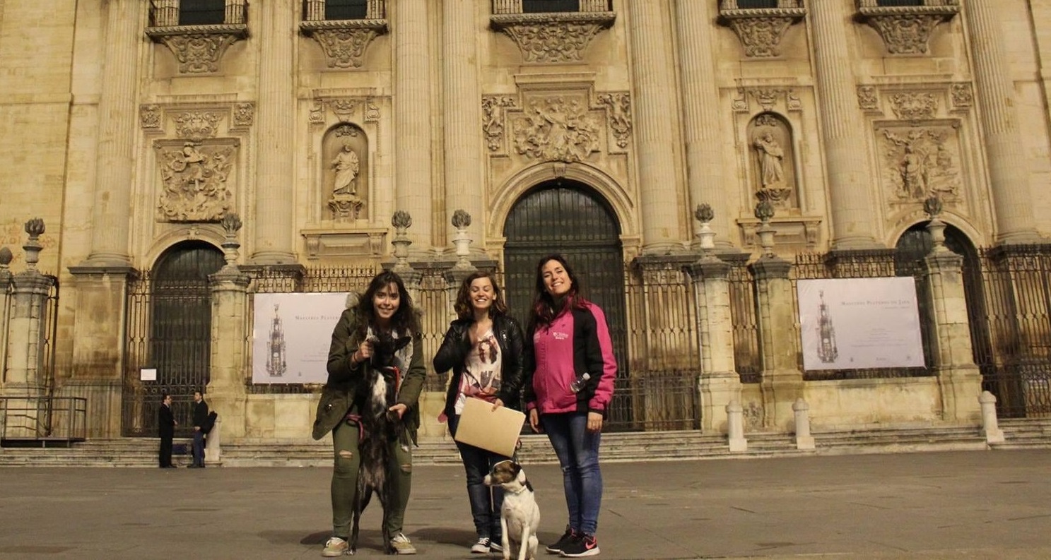 Cláritas turismo Jaén24h mascotas