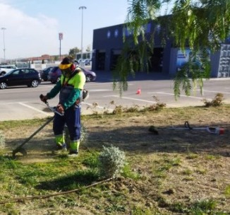 mantenimiento ayuntamiento jaén