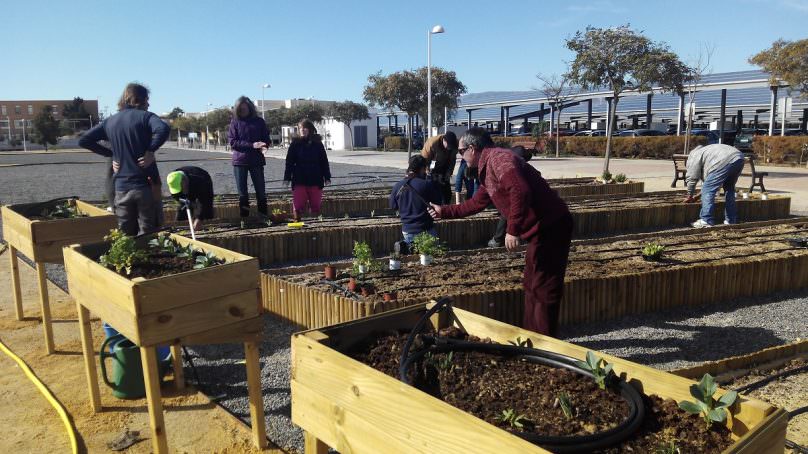 El Ecohuerto Universitario producirá alimentos para comedores y cocinas sociales jiennenses
