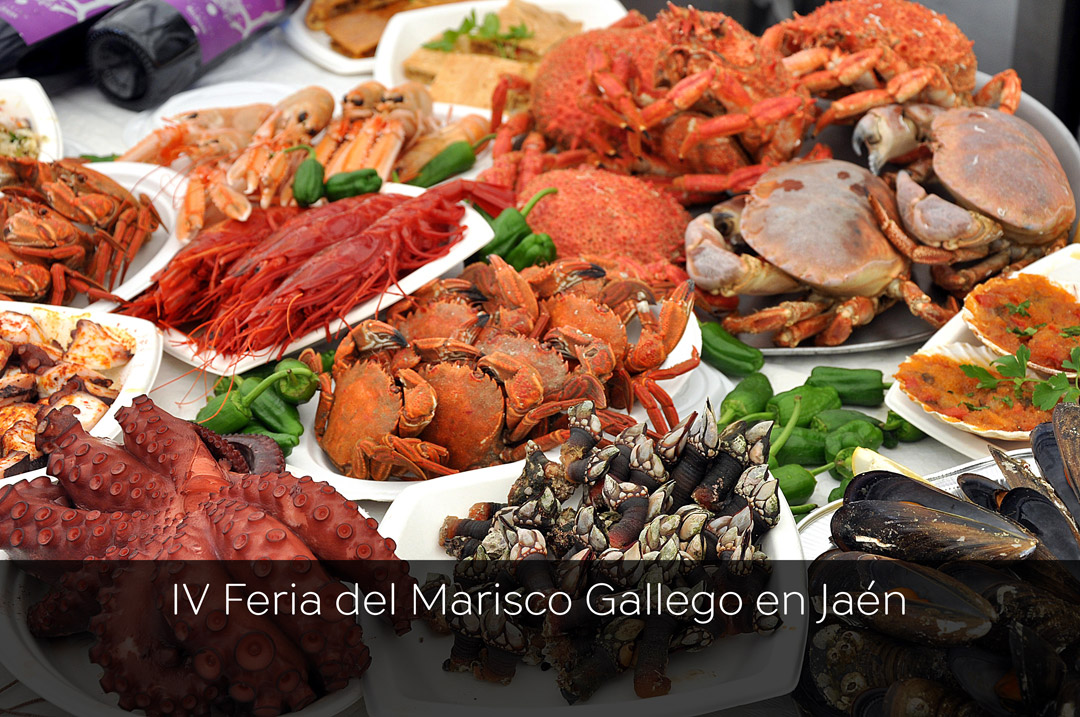 Feria del marisco gallego