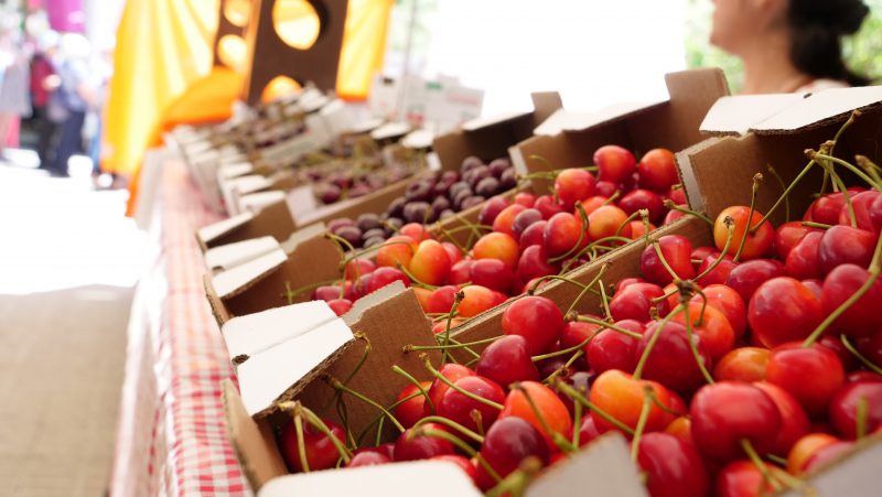 La Fiesta de la Cereza de Castillo de Locubín será celebrada a través de las redes