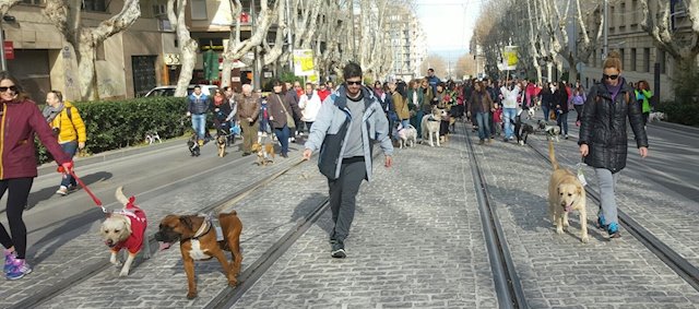 I Can-minata San Antón 2020 Jaén24h