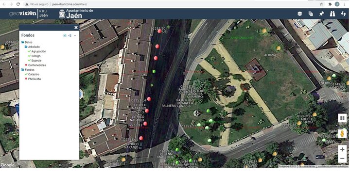 Geovisión, inventario de árboles Jaén24h