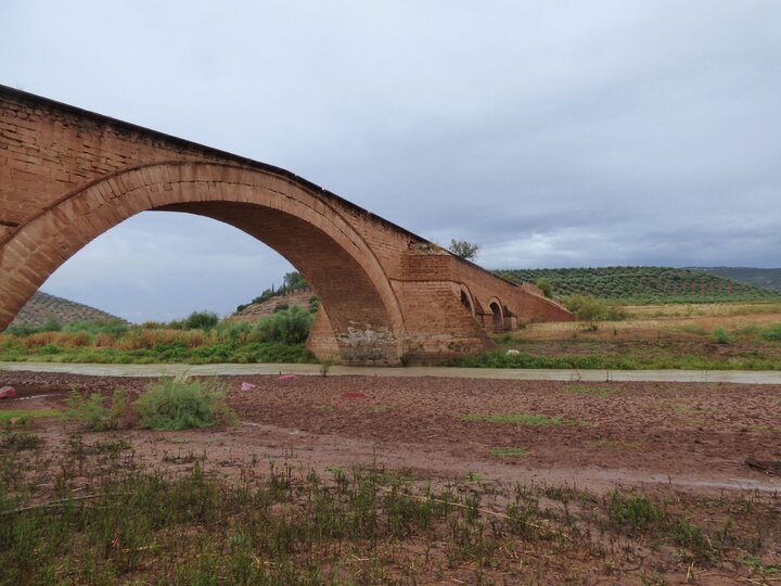 Puente de Ariza Jaén24h