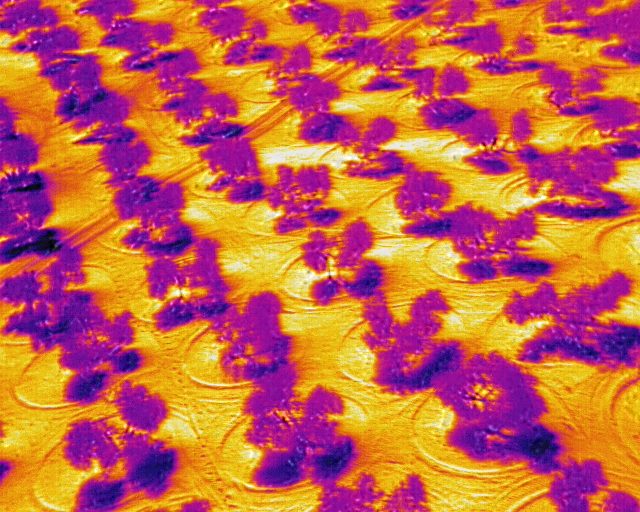 olivar drones jaen24h