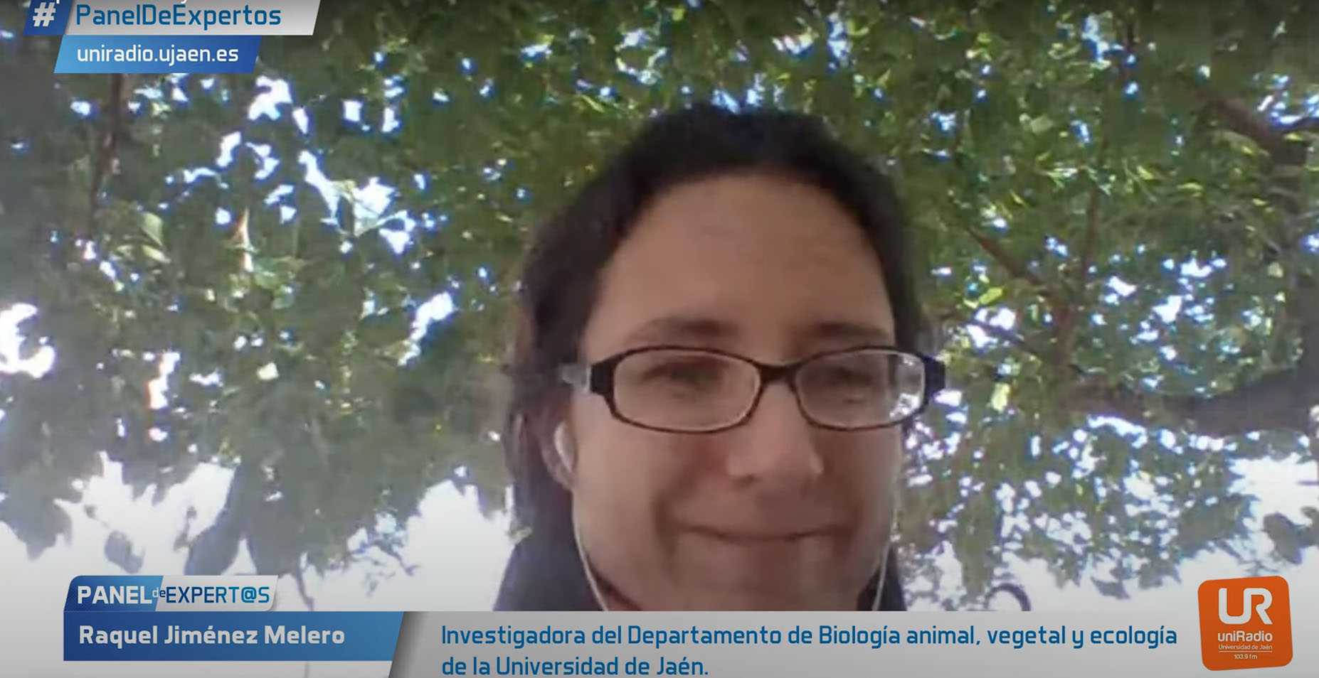 panel de expertos de UniRadio Jaén24h