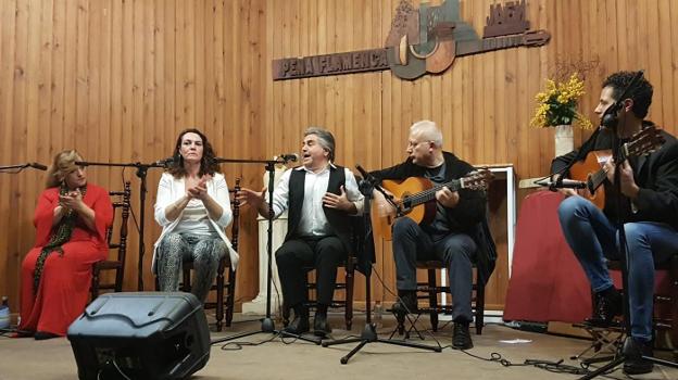 Peña Flamenca pregón de navidad Jaén24h