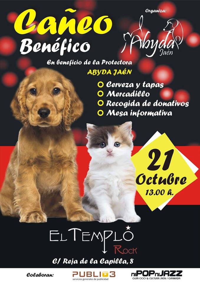 Cañeo Benéfico por Abyda Jaén 24h