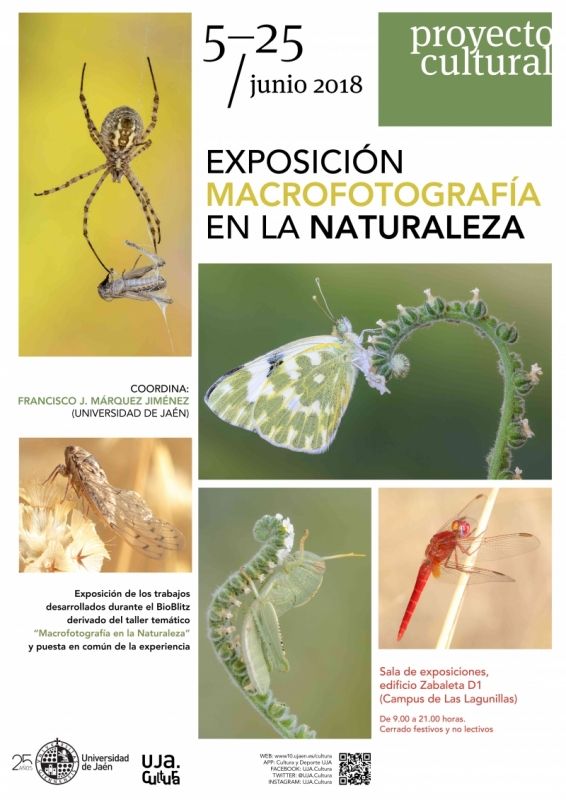 Exposición. Macrofotografía en la naturaleza Jaén 24h