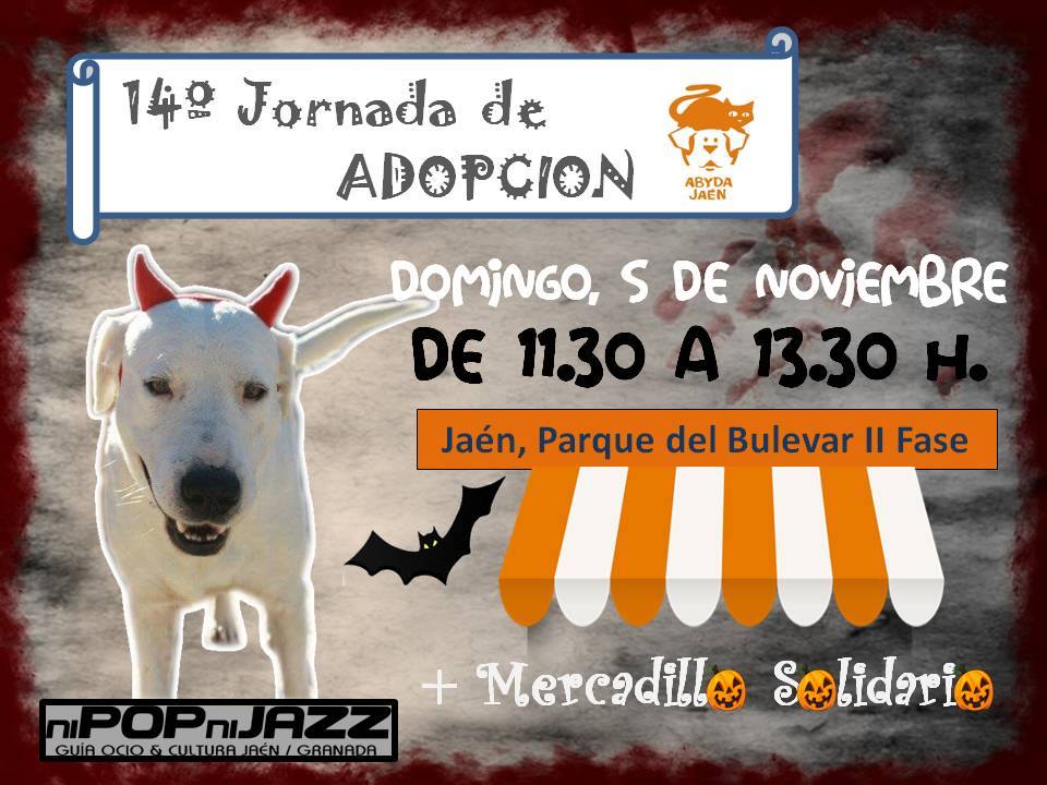 Cartel Abyda Jornada de adopciones en el bulevar Jaén 24h
