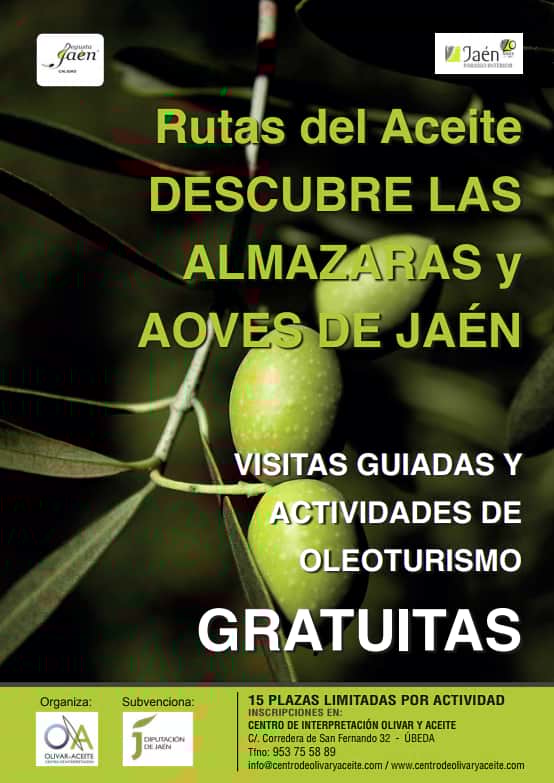 Cartel Rutas del aceite y visitas guiadas Jaén 24h