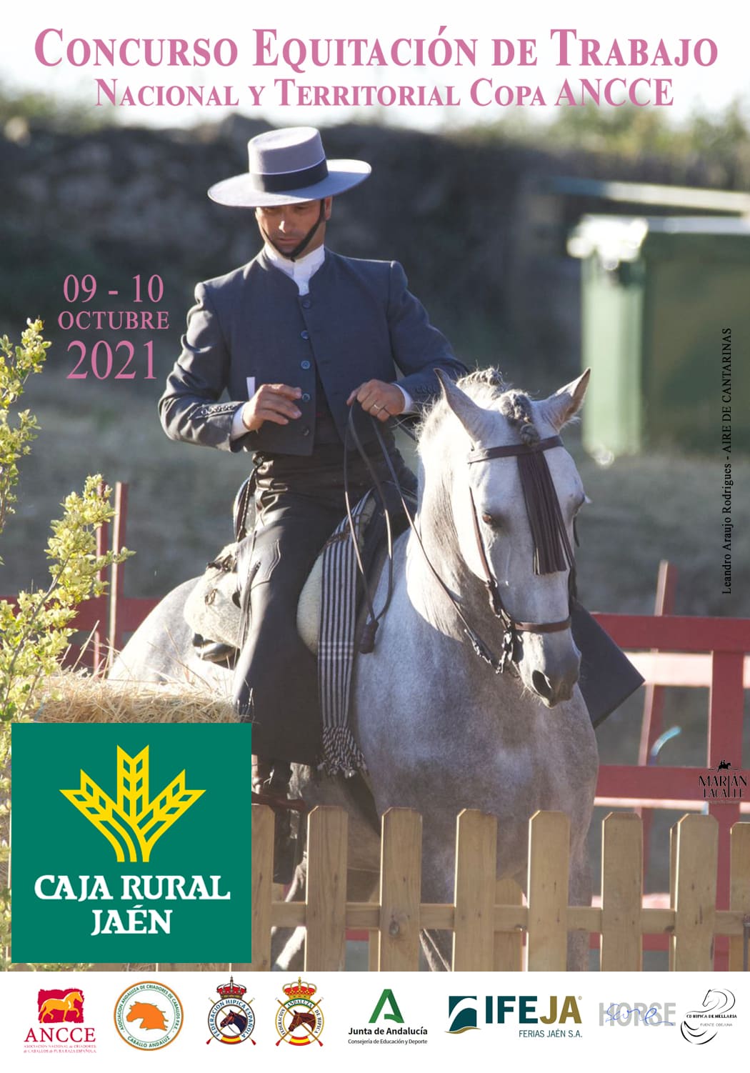  XXXI Campeonato de Caballos de Pura Raza Española en IFEJA