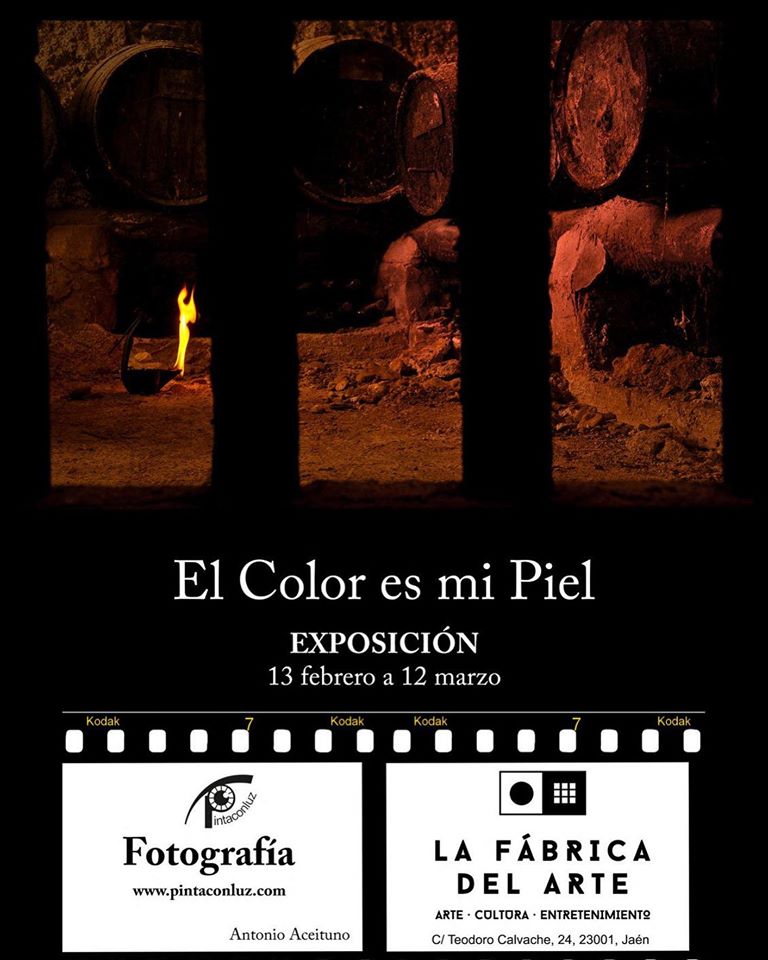 Exposición. El color es mi piel