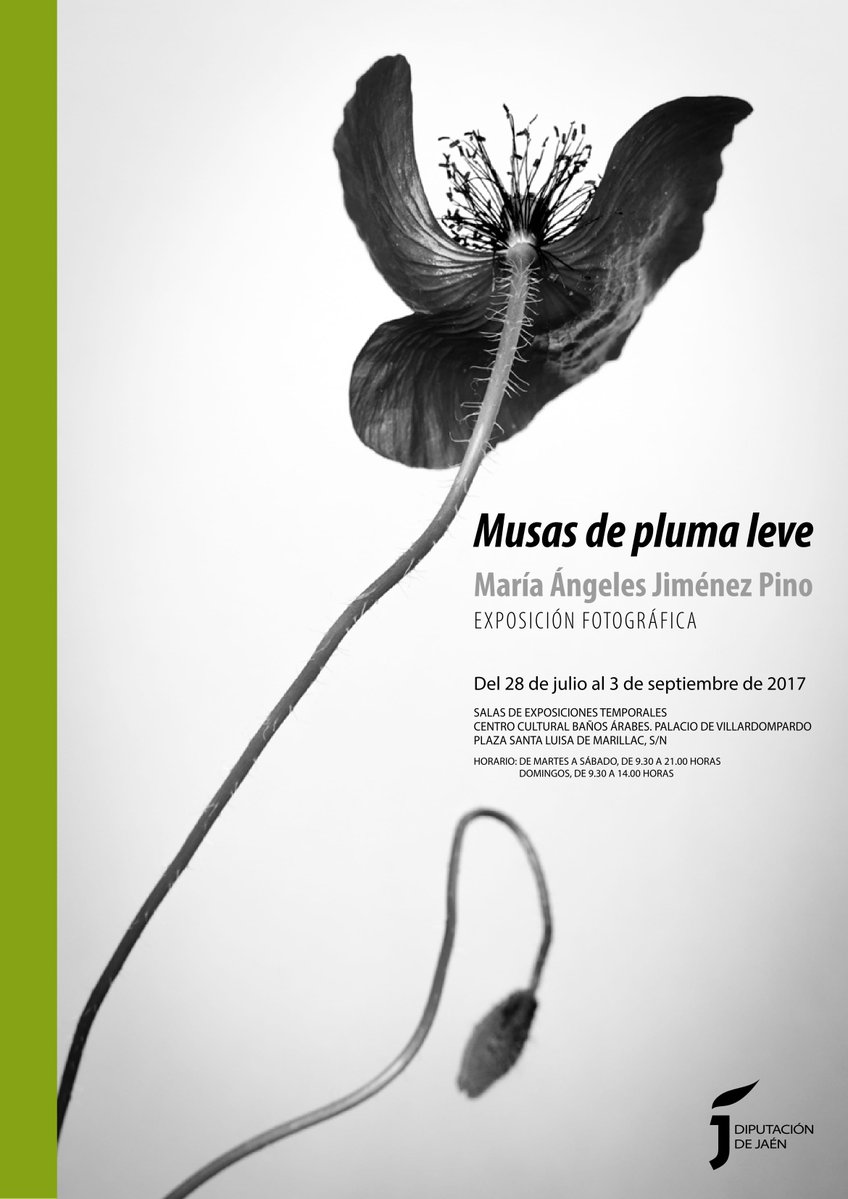 Exposición fotografía Musas de pluma leve Baños Árabes Jaén 24h