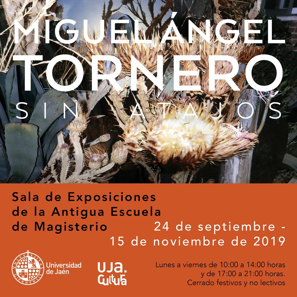 Exposición. Sin Atajos Miguel Ángel Tornero Jaén 24h