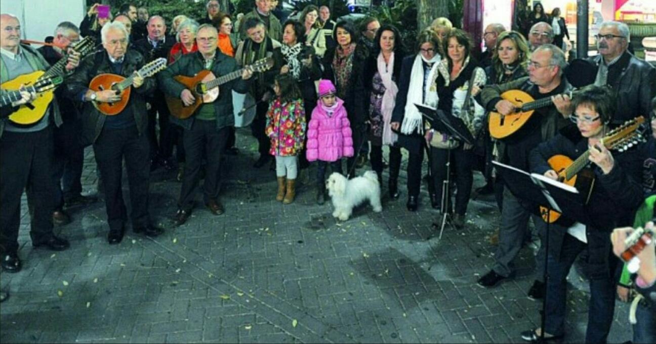 grupo panaceite navidad en la calle jaen24h