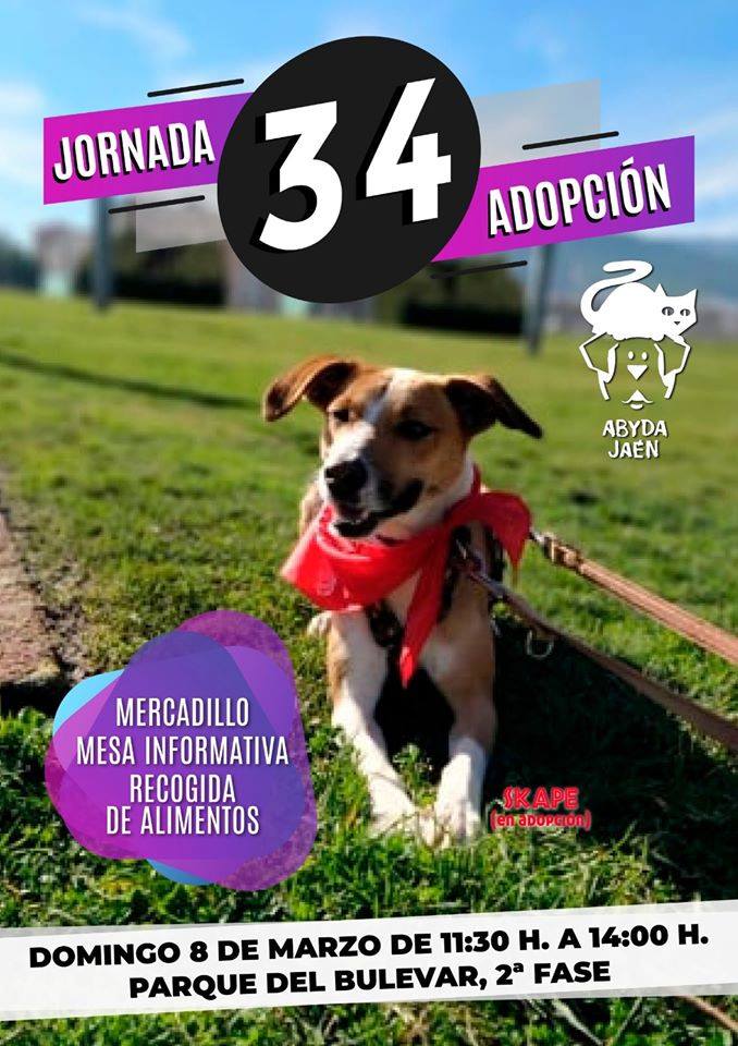 Jornada adopción