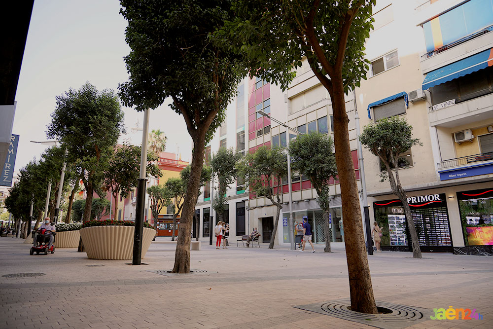 Espectáculo Jaén Puerto de Luz