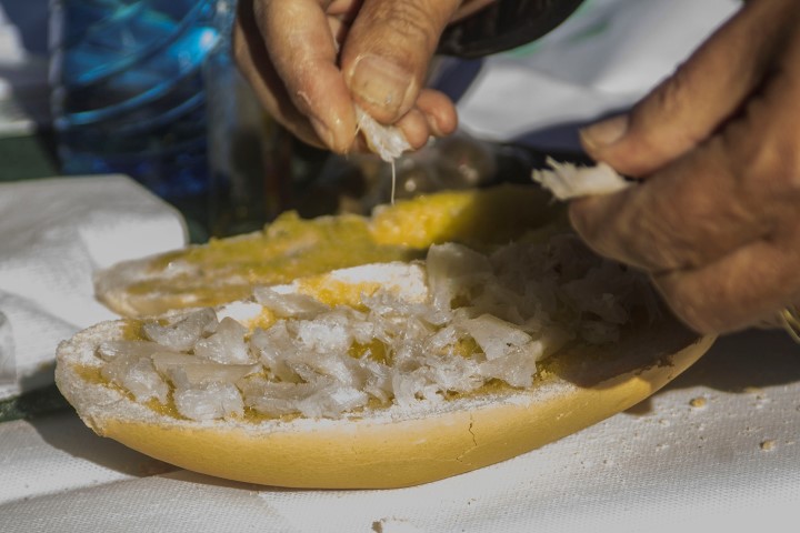 hoyo de la fiesta de la aceituna en martos