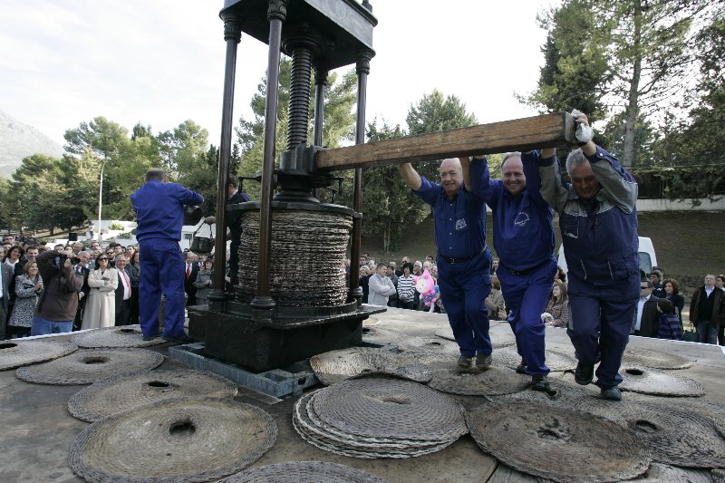 fiesta de la aceituna