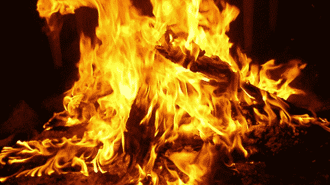 lumbre de san antón jaen24h