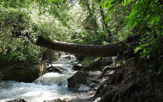 Ruta Chorreras de Valdepeñas Jaén24h