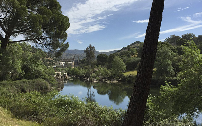 Ruta del Encinarejo Jaén24h