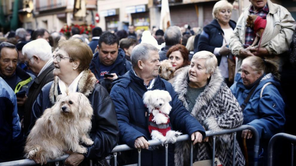 animales en san antón jaen24h