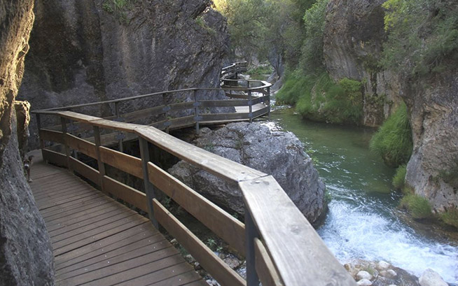 Sendero del Río Borosa Jaén24h