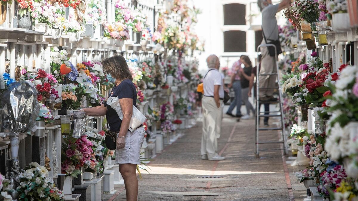 Cementerio de San Fernando en Jaén autobuses alsa 2021
