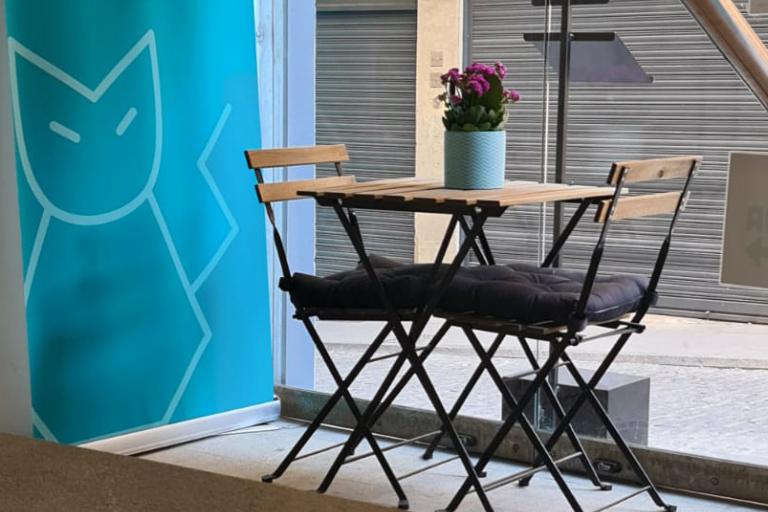 Cuatro Gatos Coworking Jaén24h