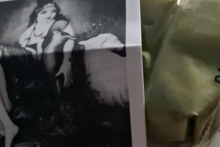 herboristería en jaén radheshyam