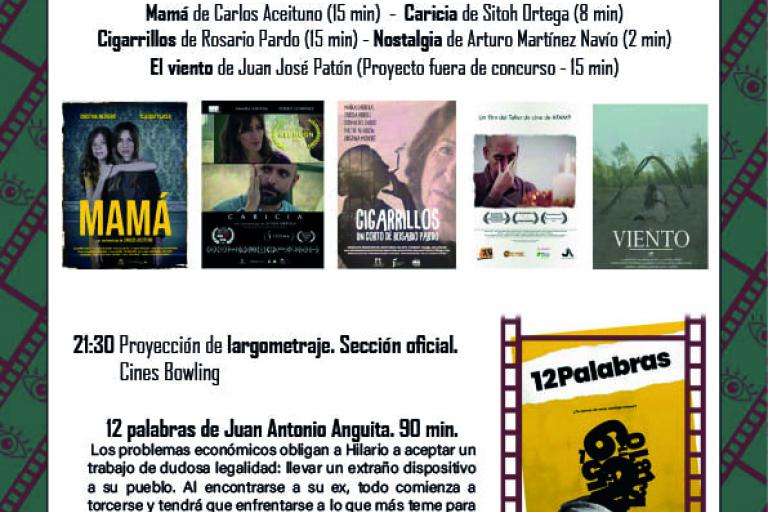 Cine no visto, VI Edición del Festival de Cine Independiente, Linares, Jaén