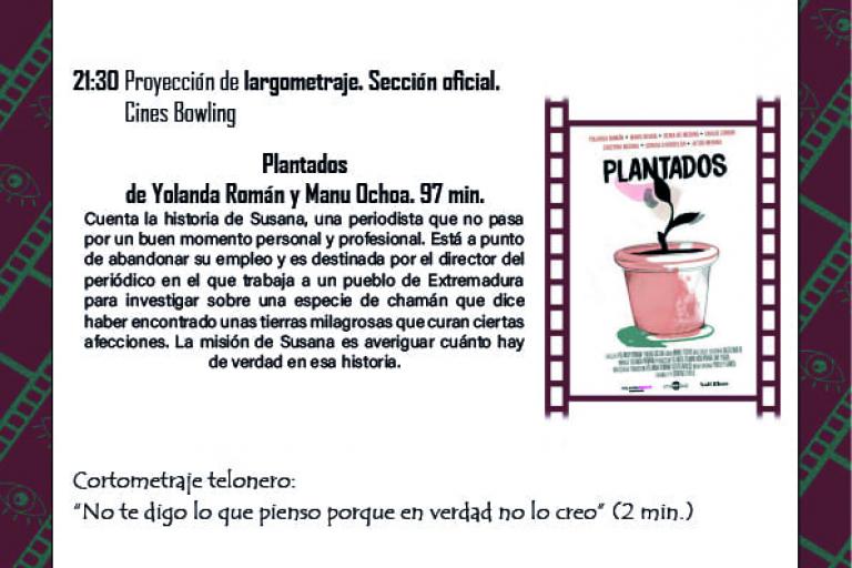 Cine no visto, VI Edición del Festival de Cine Independiente, Linares, Jaén