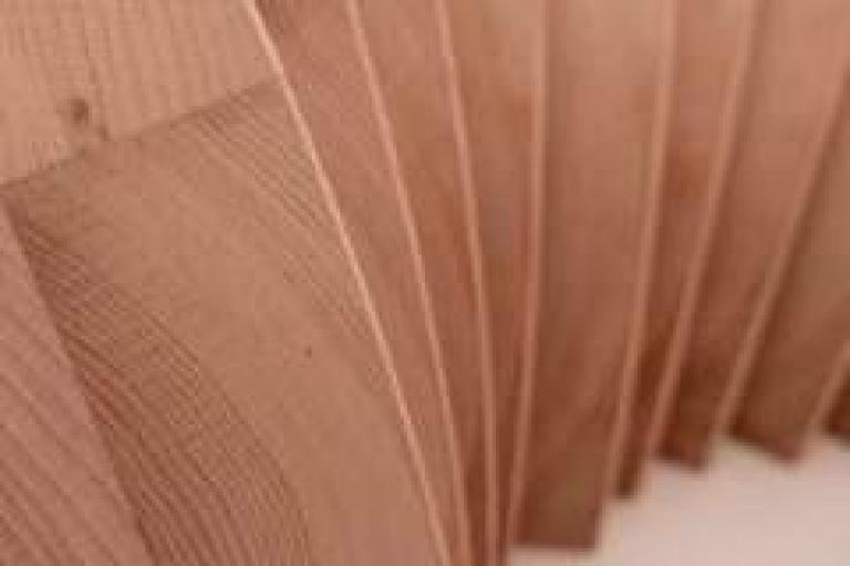 Waldorf Jaén24h Chiquilladas.es