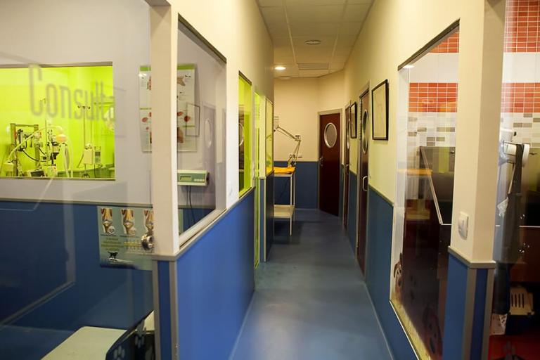 Centro Veterinario La Florida Linares Jaén