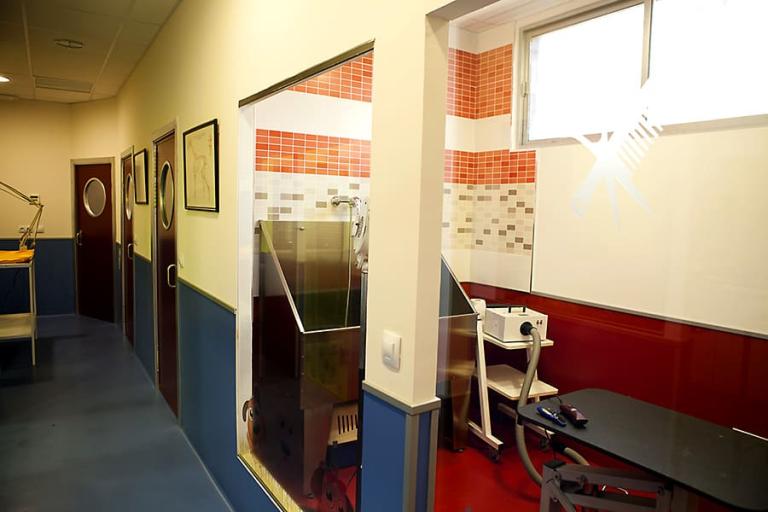 Centro Veterinario La Florida Linares Jaén