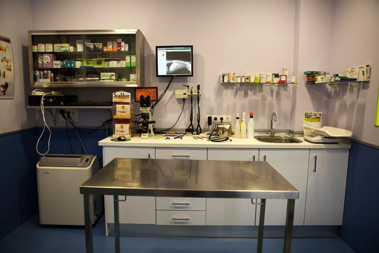 Centro Veterinario La Florida Linares Jaén