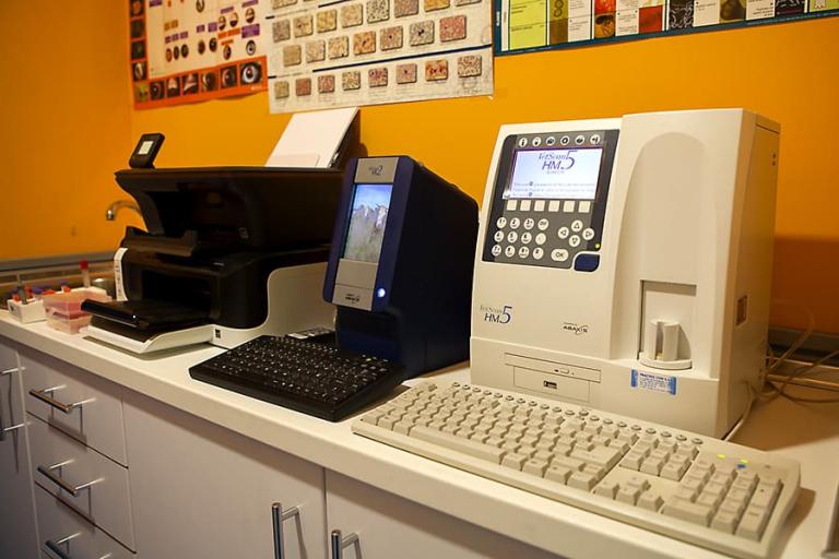 Centro Veterinario La Florida Linares Jaén