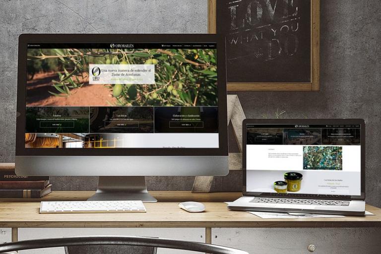 Diseño web Jaén y Marketing, Sumur Digital