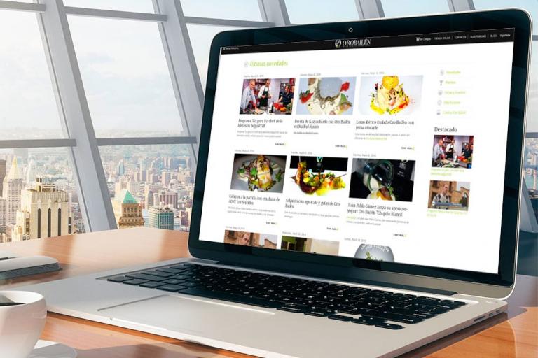 Diseño web Jaén y Marketing, Sumur Digital